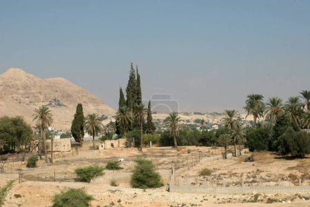 Blick auf die antike Stadt Jericho von Westen, Jordantal, Westjordanland, Palästina, Israel