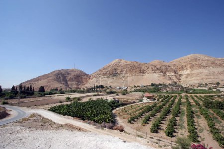 Mount of Temptation near the city of Jericho, Jordan Valley, West Bank, Palestine, Israel