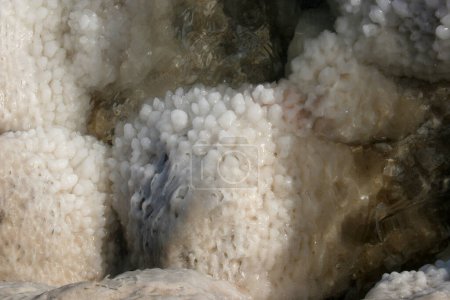 Photo for Crystallized salt rocks along the shores of the Dead Sea, Israel - Royalty Free Image