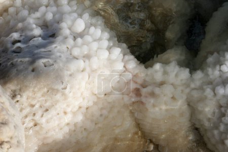 Photo for Crystallized salt rocks along the shores of the Dead Sea, Israel - Royalty Free Image