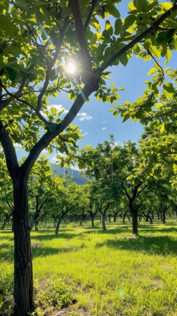 An einem sonnigen Tag zeigt ein gemeinschaftlicher Obstgarten verschiedene Obstbäume, die die lokale Lebensmittelbeschaffung fördern..