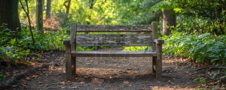 Weathered, wooden bench in a secluded park, inviting a moment of quiet reflection and showcasing the rustic charm of natural settings