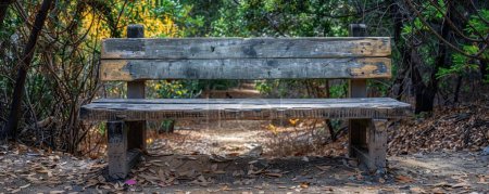 A weathered, wooden bench in a hidden park beckons for silent contemplation, revealing the allure of nature's rustic beauty