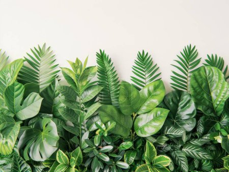 Dekorative Pflanzen für den Wellnessbereich, tropische Blätter, grüner Hintergrund isoliert auf weiß, botanische Sammlung, umweltfreundliches Interieur, Zimmerpflanzen-Dekor