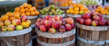 In autumn, visit an outdoor farmer market for a seasonal display of pumpkins, apples, and festive vibes