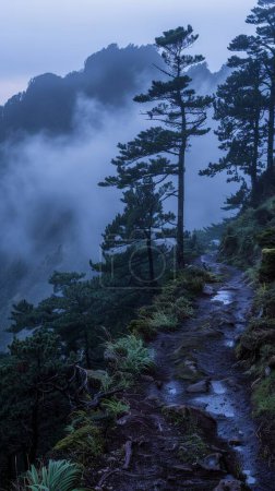 Thick rainclouds loom over dense forest, mist embraces ancient trees, shadowy path winds through gloomy woods