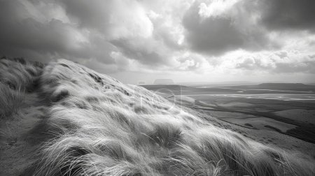 Drohende Wolken über dem Hochmoor, karge Landschaft erstreckt sich, Grasbüschel beugen sich im böigen Wind
