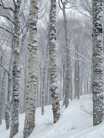 Thick white flakes blur the forested hillside in a blizzard scene, heavy snowfall creating a mesmerizing winter wonderland