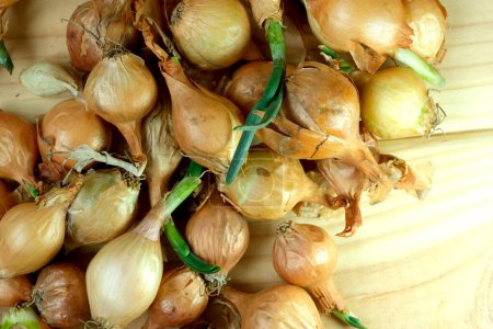 A collection of onions arranged in a heap on top of a rustic wooden table.