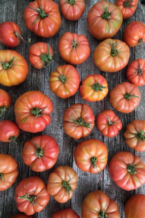 Téléchargez les photos : Aliments biologiques, Légumes rouges gratuits de tomate - en image libre de droit