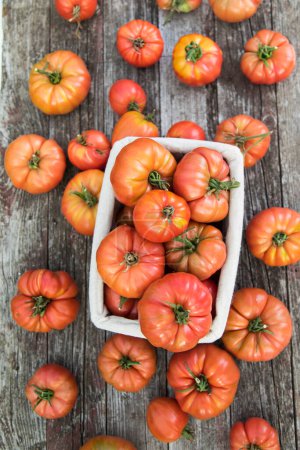 Téléchargez les photos : Légumes, tomates, sur le bureau dans le jardin - en image libre de droit