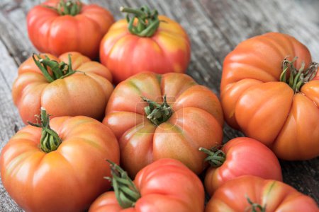 Téléchargez les photos : Tomates potager, produits biologiques - en image libre de droit