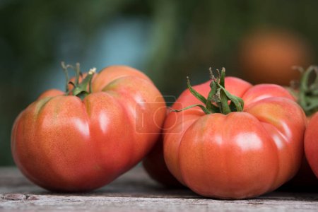 Téléchargez les photos : Légumes, tomates, sur le bureau dans le jardin - en image libre de droit