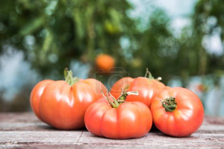 Téléchargez les photos : Légumes, tomates sur bureau en bois - en image libre de droit