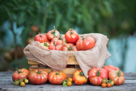 Foto de Verduras, tomates en escritorio de madera - Imagen libre de derechos