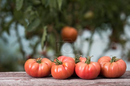 Foto de Verduras, tomates en escritorio de madera - Imagen libre de derechos
