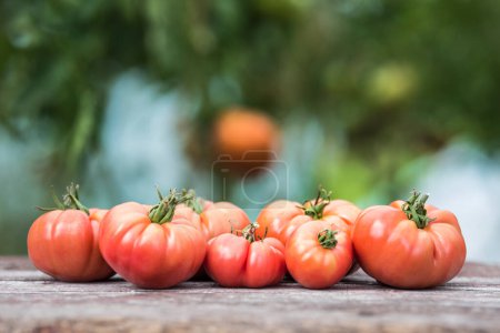 Téléchargez les photos : Légumes, tomates sur bureau en bois - en image libre de droit