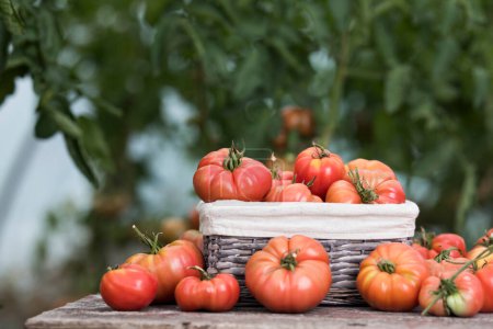 Photo for Vegetables, tomatoes on wooden desk - Royalty Free Image