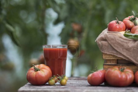 Téléchargez les photos : Jus de tomate frais, sur fond de bois - en image libre de droit