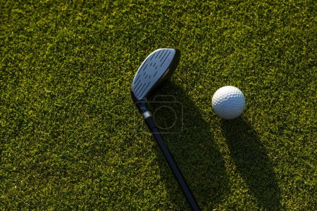 Téléchargez les photos : Balle de golf et tee sur herbe - en image libre de droit