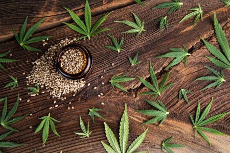 Photo for Cannabis and hemp seeds - Royalty Free Image