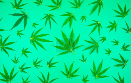 Téléchargez les photos : Fond de feuille de cannabis - en image libre de droit