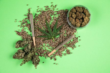 Téléchargez les photos : Marijuana et cannabis sur fond blanc - en image libre de droit
