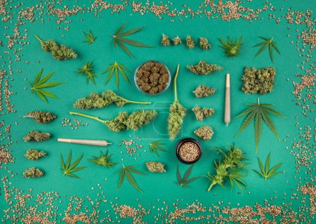 Téléchargez les photos : Cannabis médical, marijuana et feuille de cannabis sur feuille verte - en image libre de droit