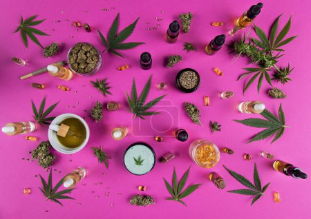 Téléchargez les photos : Vue de dessus des bourgeons de cannabis et de marijuana, des feuilles de chanvre cbd, du cannabis et des fleurs roses sur fond rose. Pose plate. pose supérieure d'un - en image libre de droit