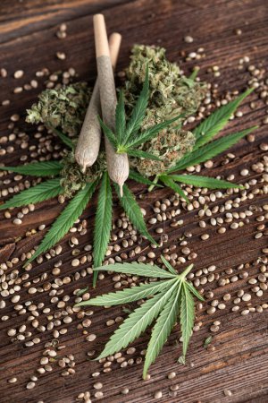 Foto de Semillas de cáñamo y hojas de cáñamo. cannabis y semillas de cáñamo en el fondo de madera, vista superior - Imagen libre de derechos