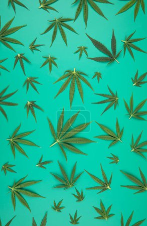 Photo for Green cannabis leaf background with copy space. - Royalty Free Image