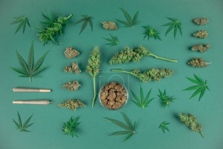 Foto de Vista superior con diferentes hojas de marihuana y cannabis sobre un fondo oscuro - Imagen libre de derechos