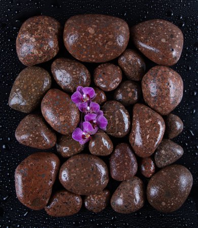 Photo for Spa stones and flower - Royalty Free Image
