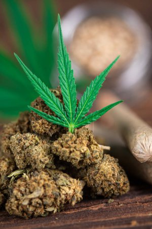 Photo for Marijuana and cannabis buds with a hemp leaf. - Royalty Free Image