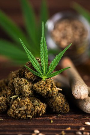 Téléchargez les photos : Feuilles de cannabis et bourgeons de marijuana sur fond en bois - en image libre de droit