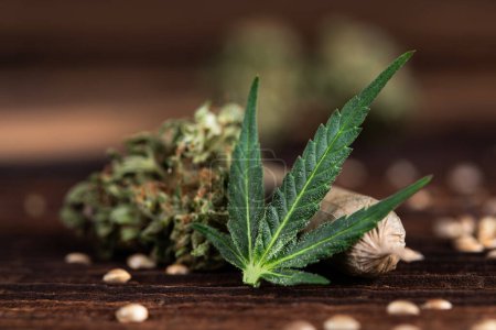 Téléchargez les photos : Bourgeons de marijuana sur un fond en bois. cannabis. - en image libre de droit