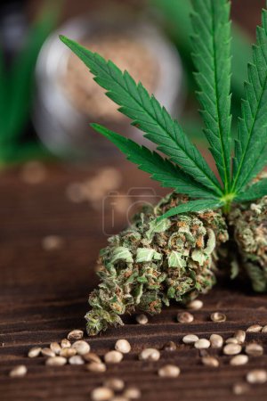 Téléchargez les photos : Bourgeons de cannabis avec des feuilles de chanvre sur fond sombre - en image libre de droit