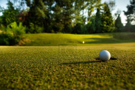 Foto de Golf ball with a golf course on the background of the grass. - Imagen libre de derechos