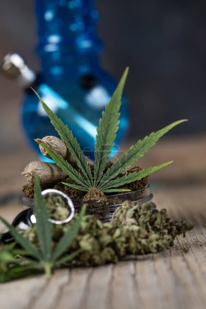 Téléchargez les photos : Gros plan des bourgeons de marijuana et des feuilles de marijuana - en image libre de droit
