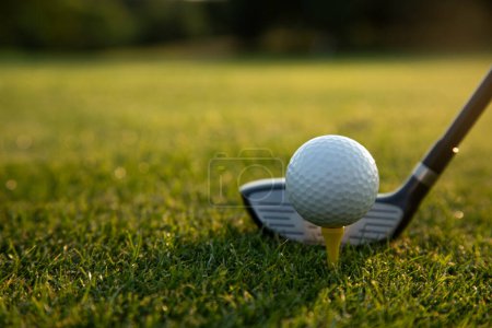 Téléchargez les photos : Balle dans le club de golf sur herbe verte. - en image libre de droit