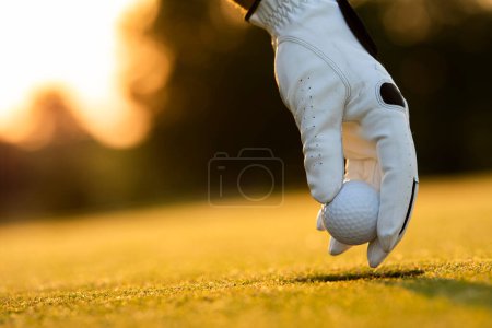 Photo for Golfer hand holding golf ball on green grass at sunset - Royalty Free Image