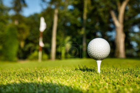 Téléchargez les photos : Gros plan de la balle de golf sur le tee dans le terrain de golf - en image libre de droit
