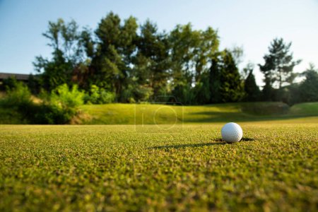 Téléchargez les photos : Gros plan des balles de golf et de l'herbe sur le terrain vert. sport et loisirs concept. - en image libre de droit