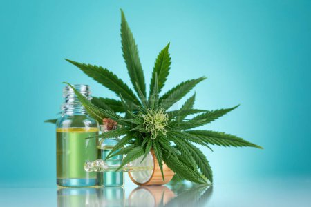 Téléchargez les photos : Feuille de cannabis et huile de chanvre sur fond blanc. médecine douce - en image libre de droit