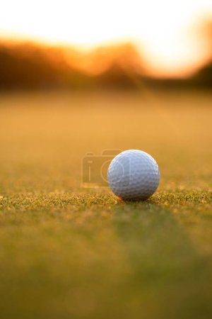 Foto de Pelota de golf en un campo de golf - Imagen libre de derechos