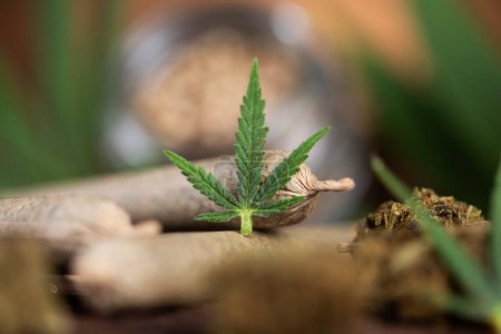 Foto de Cultivo de cannabis en una maceta - Imagen libre de derechos