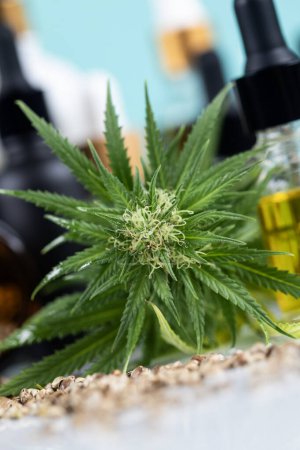 Téléchargez les photos : Huile de cbd, marijuana et produits médicaux du cannabis sur la table - en image libre de droit