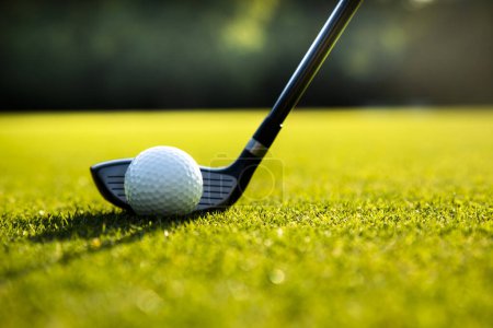 Téléchargez les photos : Club de golf et balle de golf. club de golf sur le terrain de golf. - en image libre de droit