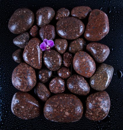 Téléchargez les photos : Chocolat au cacao et guimauves sur fond noir. bonbons au chocolat - en image libre de droit