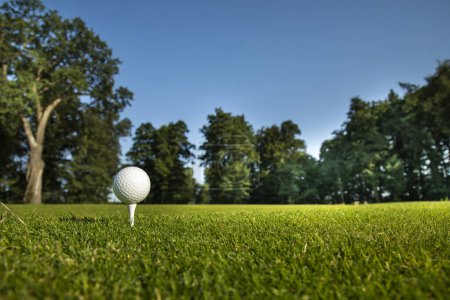 Photo for Golf club with ball on the green grass - Royalty Free Image